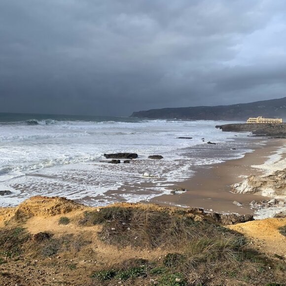 Meet your Posher, Morgan t - Picture 1 of 1